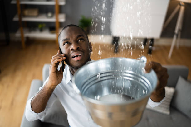  Black Diamond, FL Water damage restoration Pros