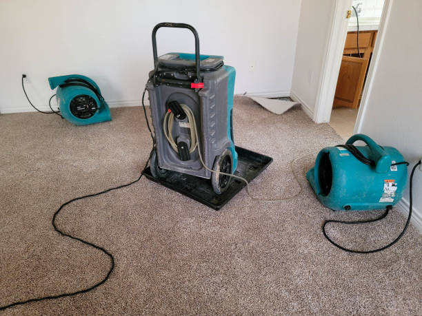 Best Commercial water damage restoration  in Black Diamond, FL