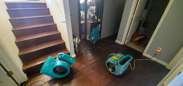 Best Ceiling water damage repair  in Black Diamond, FL