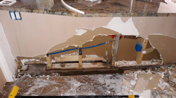 Best Water damage cleanup near me  in Black Diamond, FL