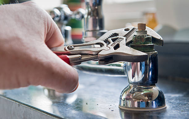 Best Professional water damage repair  in Black Diamond, FL