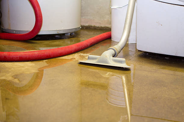 Best Emergency water damage restoration  in Black Diamond, FL