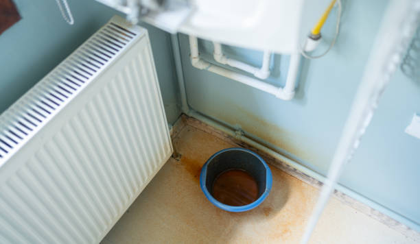 Best Emergency water extraction  in Black Diamond, FL