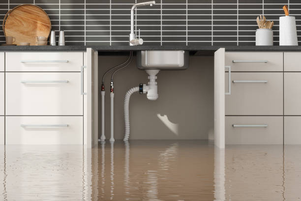 Best Flood damage cleanup  in Black Diamond, FL